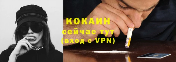 стаф Новозыбков