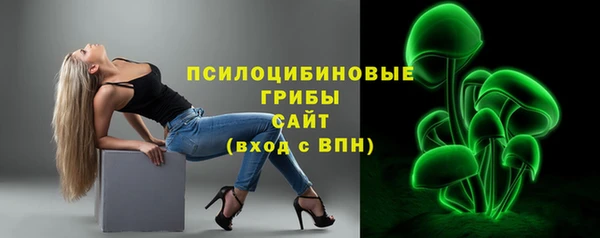 стаф Новозыбков