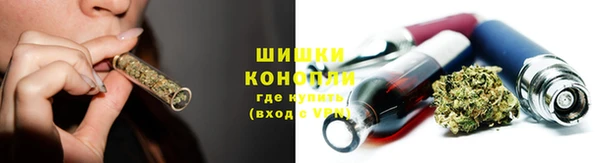 стаф Новозыбков