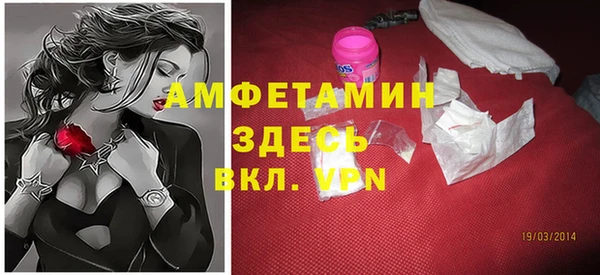 стаф Новозыбков