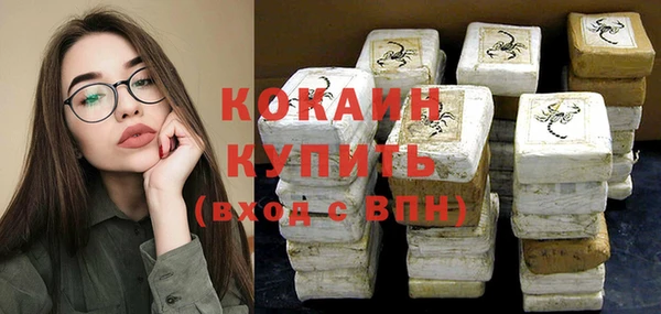 стаф Новозыбков