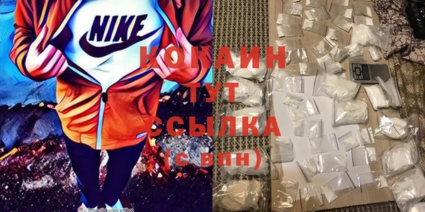 стаф Новозыбков