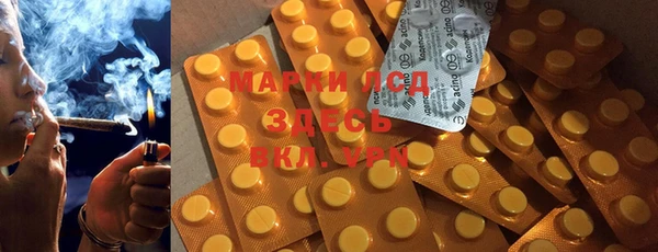 стаф Новозыбков
