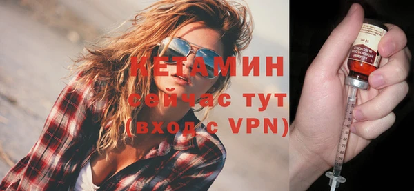 стаф Новозыбков