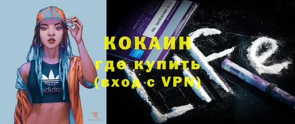стаф Новозыбков