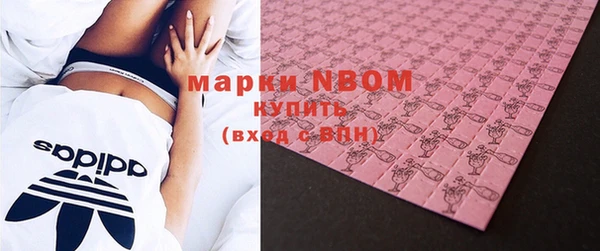 стаф Новозыбков
