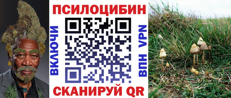 Галлюциногенные грибы Psilocybe  Покров 